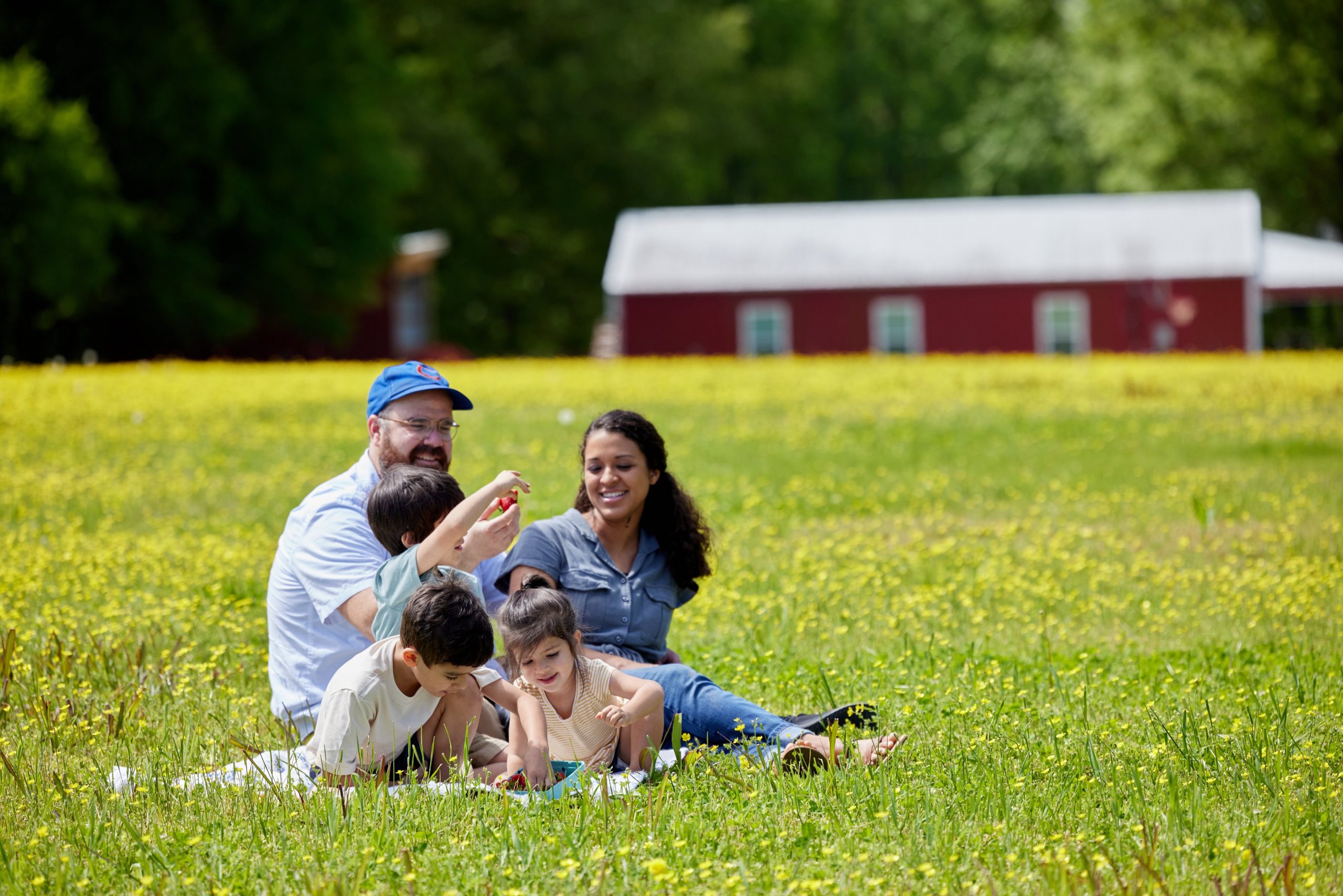 Springtown Tn Discover Springfield TN | Places To Visit - realspringfieldtn
